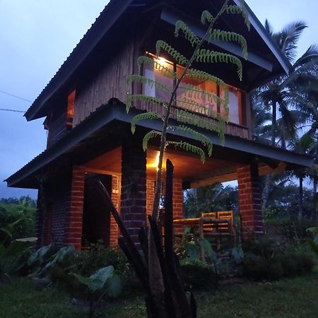 Coconut Homestay טטבאטו מראה חיצוני תמונה