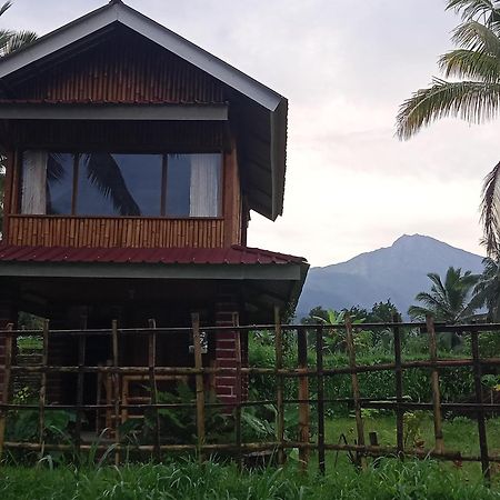 Coconut Homestay טטבאטו מראה חיצוני תמונה