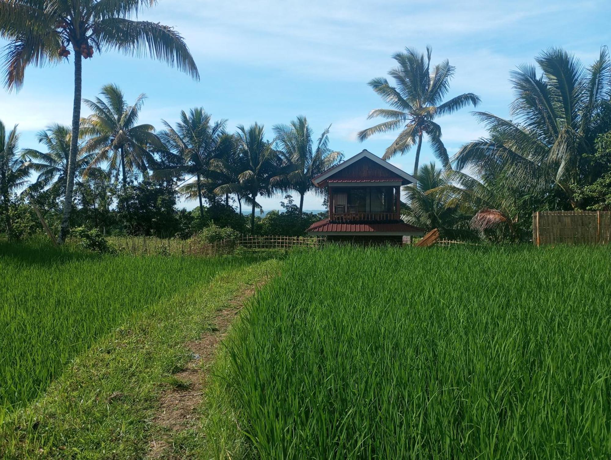 Coconut Homestay טטבאטו מראה חיצוני תמונה