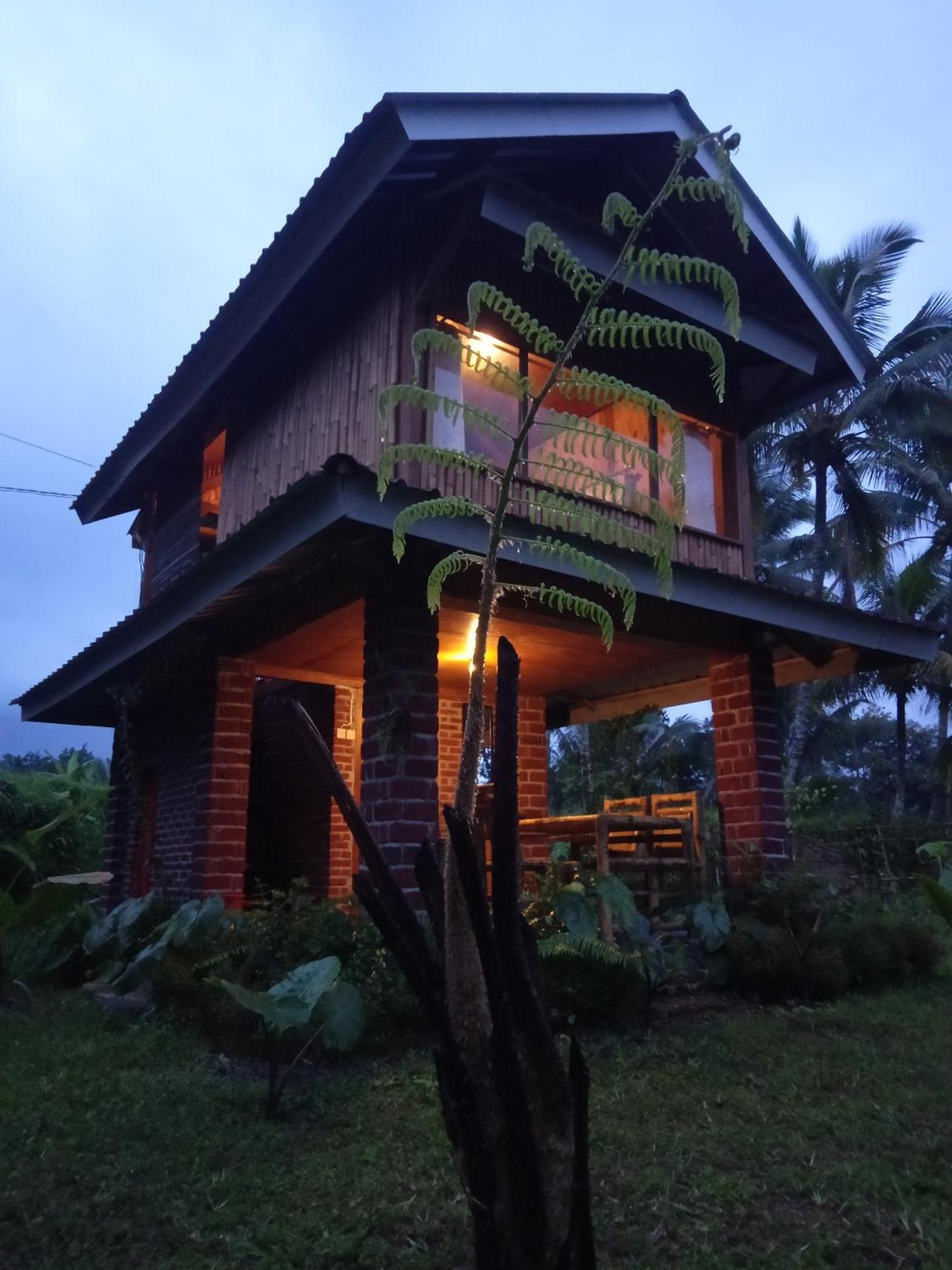 Coconut Homestay טטבאטו מראה חיצוני תמונה
